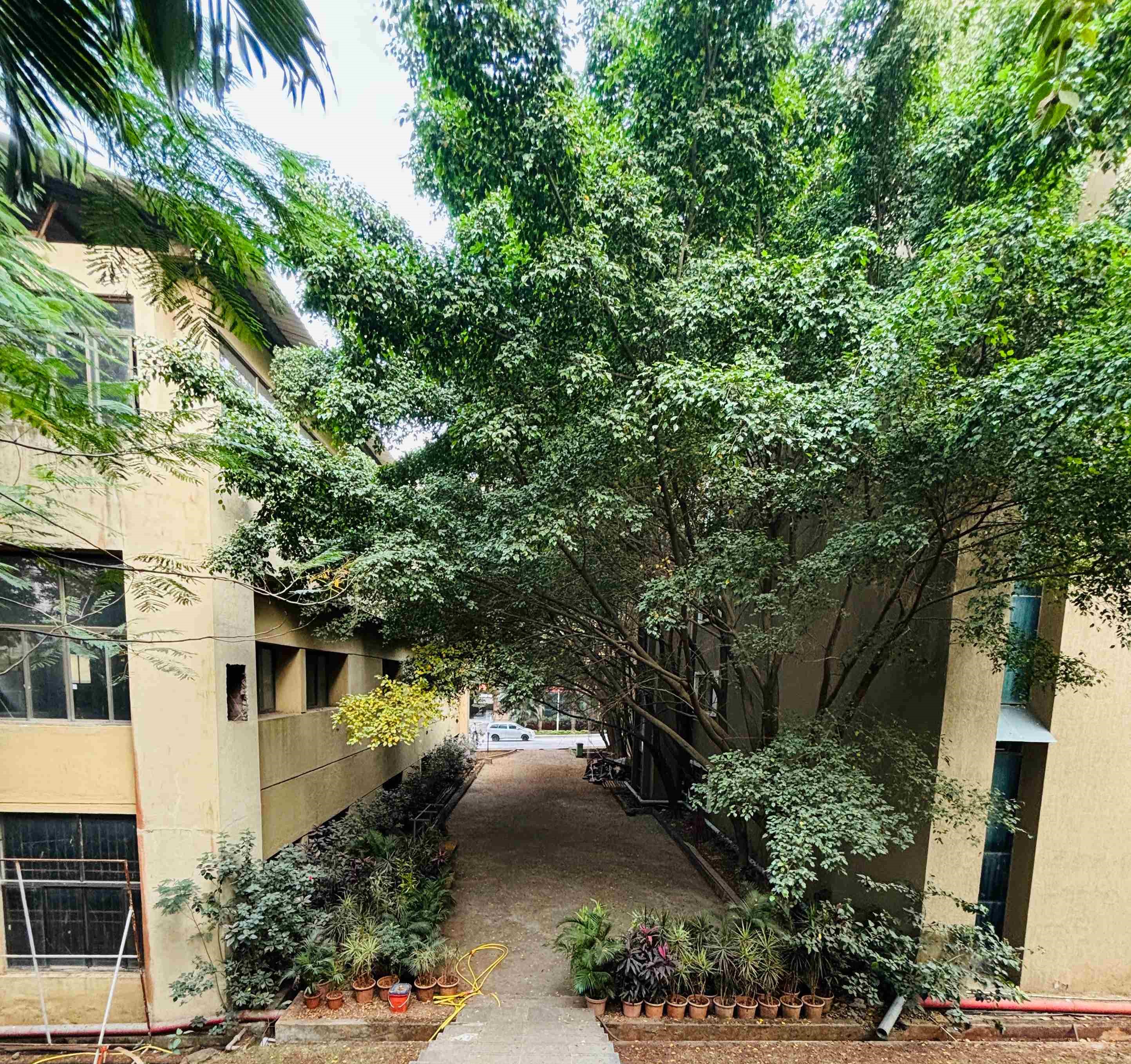 DY Patil University Pune Academic Building photo 21